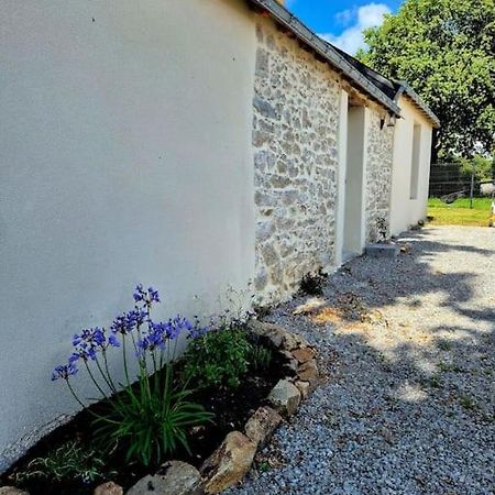 Gite De Felicite, Calme Et Nature サヴネ エクステリア 写真